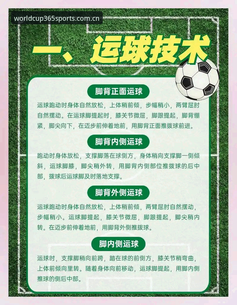世界杯365体育v5.2更新全解析：从旧版兼容到赛事数据的实操教程